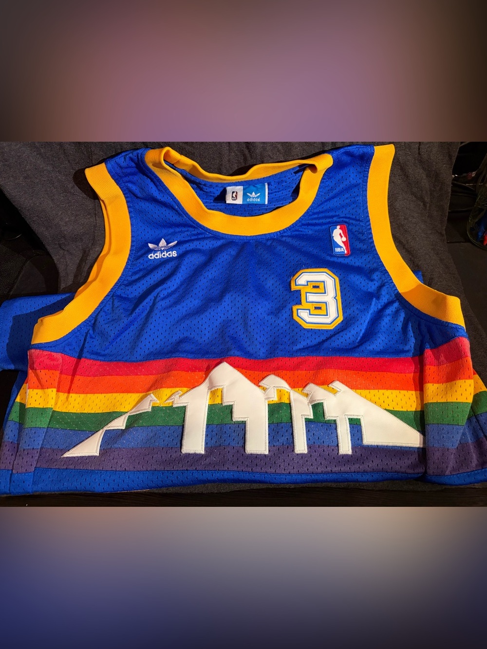 Allen Iverson Denver Nuggets Rainbow Skyline Jersey #3 - Large